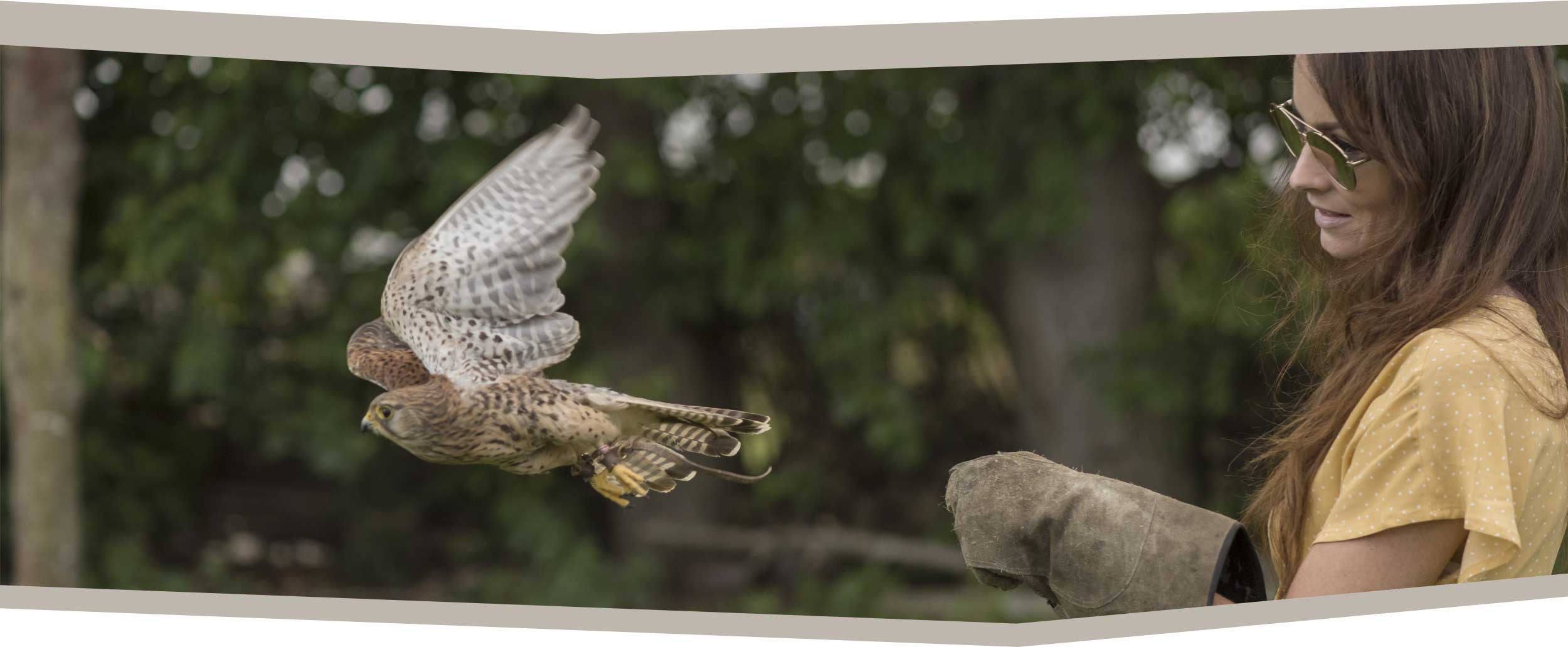 Millets Wildside - Other Animals