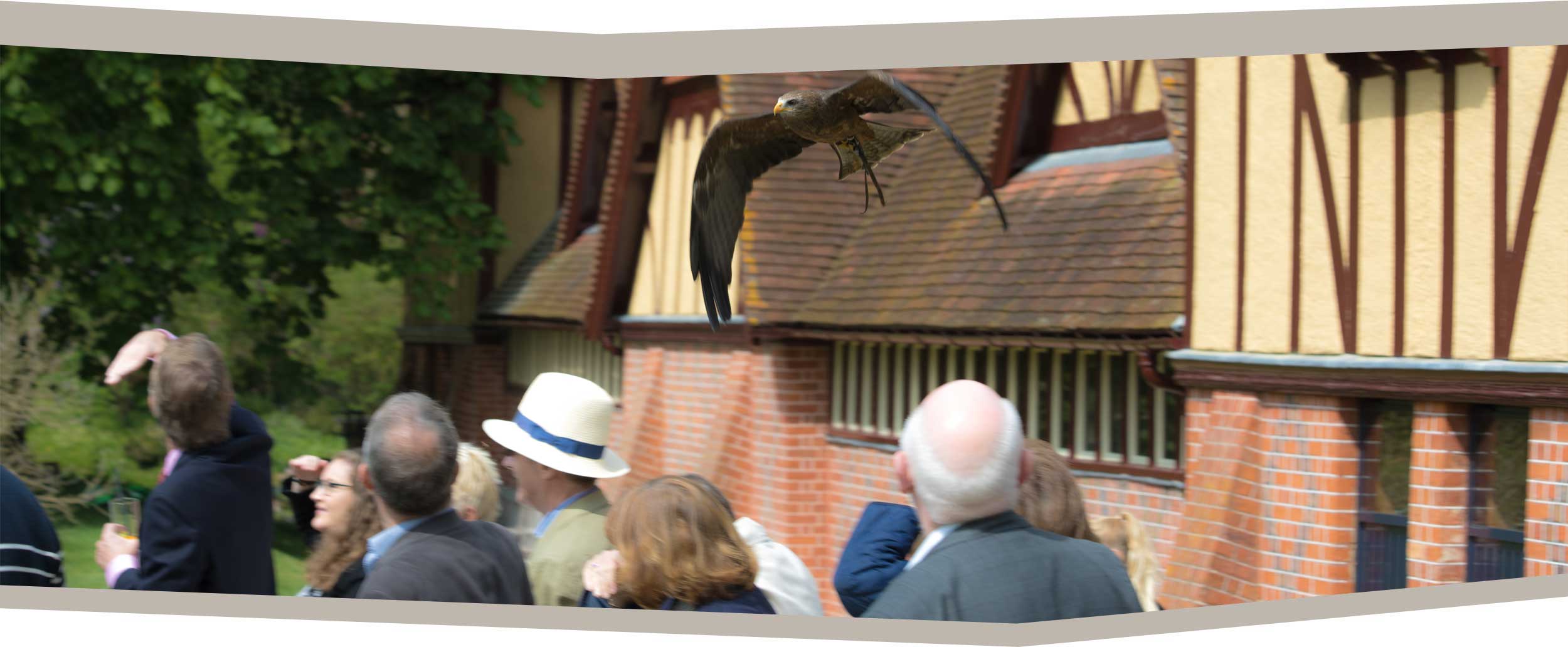 Millets Wildside Weddings content image